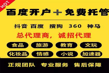 谷歌竞价案例：跨境电商广告投放策略