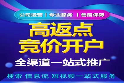 百度搜索优化：成功案例分析及策略解析